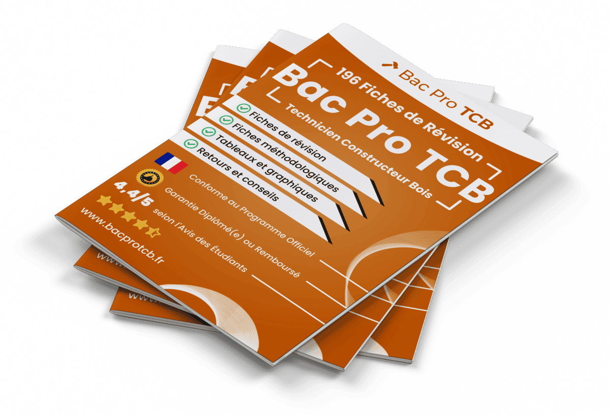 196 Fiches de Révision pour le Bac Pro TCB